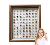 Rocks and Minerals, 80X Mineral Specimen Collection, Rough Crystal Stone Set, Wooden Frame Display, Educational Geology Kit 10.83x8.86 inches for Home Decor Ornament