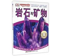 Rocks and Minerals (Chinese Edition)