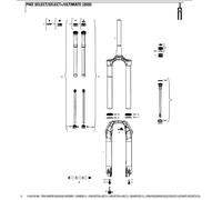 Rockshox Joint De Tête De Ressort De Fourche Charger 2.1 Lyrik/pike/boxxer