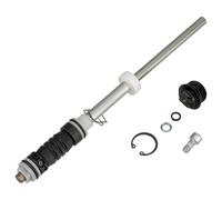 RockShox Ressort de rechange 30 Gold 110mm