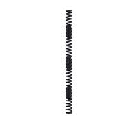 RockShox Ressort pour BoXXer / Domain Dual Crown noir extra hart