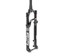 Rockshox Sid Sl Ultimate Race Day 3p Os44 Mtb Fork Argenté 29´´ / 110 mm Black