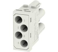 RockStar® ModuPlug HDC MBUS 2 MC Weidmüller Contenu: 1 pc(s) Module