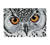 ROCKY&CHAO Kit de Tapis à Crochet DIY pour Adultes et Enfants - Point de Croix, Fabrication et Décoration de La Maison 60x40cm (Hibou Blanc)