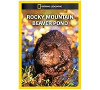 Rocky Mountain Beaver Pond