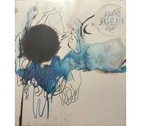 Rocky Votolato - Wild Roots-White Colored Vinyl [Import]