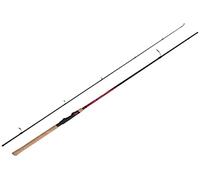Rod Catana EX Spinning