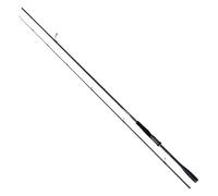 Rod Stradic Spinning FAST