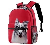 RODAILYCAY Two Seals Sitting on Ice Sac à dos de voyage pour ordinateur portable, sac à dos d'école, grand sac à livres, joli sac à dos pour homme et femme, Multicolore 9., 29.4x20x40cm/11.5x8x16 in