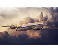 Roden 326 - 1:144 Bristol 175 Britannia Afrique Safari - Neuf