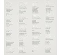 Rodrigo Amarante - Cavalo