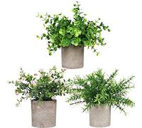Roellgs Lot de 3 mini plantes artificielles en pot - Pour bureau, chambre, jardin, intérieur et extérieur - Vert