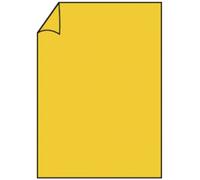 Rössler Papier 220701543 Coloretti Papier à lettres - A4, 80g, 10 feuilles, jaune d'or