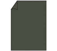 Rössler Papier 220701571 Coloretti Papier à en-tête - A4, 80g, 10 flles, forêt