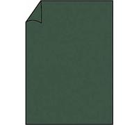 Rössler Papier 220726571 Coloretti Papier à en-tête - A4, 165g, 10 flles, forêt