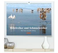 Rötelreiher und Schmuckreiher (hochwertiger Premium Wandkalender 2026 DIN A2 quer), Kunstdruck in Hochglanz: Zwei Reiher in Florida, die im ... sind, werden hier vorgestellt.