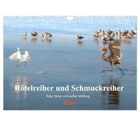 Rötelreiher und Schmuckreiher (Wandkalender 2026 DIN A4 quer), CALVENDO Monatskalender: Zwei Reiher in Florida, die im Erscheinungsbild und in ihrem ... sind, werden hier vorgestellt.