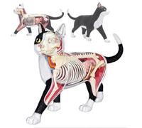 ROFALI Modèle d'anatomie de chat 4D Vision - 28 pièces - Outil d'anatomie - Pour démonstration d'enseignement des animaux, simulation d'intelligence - Modèle d'anatomie - Noir et blanc