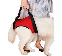 ROFRA Harnais De RéCupéRation Jambe Avant Et ArrièRe pour Chien, Sangle De Support Levage Portable pour Chien, Sangle RéCupéRation pour Chien, pour Les Jambes ArrièRes Faibles (S)