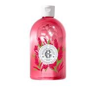 Roger&Gallet - Gel Douche Bienfaisant Gingembre Rouge 500 ml- Extrait Naturel de Gingembre & Aloe Vera - Énergisant, Hydratant, Revitalisant - Base Lavante Végétale