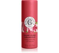 Parapharmacie > Beauté & Soins > Produits de Soins du Visage > Soins Lèvres > Baumes à lèvres Roger&Gallet Baume à Lèvres Sublimateur - Lèvres Sèches 3,5 g