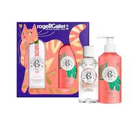 RogerGallet, Coffret Eau Parfumée Fleur de Figuier 100ml + Lait Corps | Coffret aux notes de figue et musc, Fragrance relaxante, Apporte une sensation de bien-être, Usage quotidien