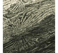 Rogiński, Raphael - Tal LP [Vinyl]