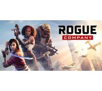 Rogue Company (PC)