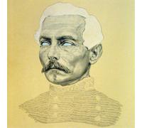 Rogue Wave Delusions of Grand Fur (CD) Album