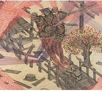 Rogue Wave - Nightingale Floors