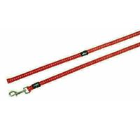 Rogz pour chiens Laisse Nitelife rouge