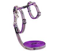 Rogz ReflectoCat Ensemble harnais et laisse pour chat Violet