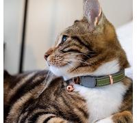 Rogz Urban Collier pour chat Olive Twist avec boucle de sécurité détachable