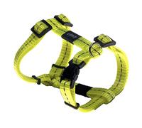 Rogz Utility Petite 3/20,3 cm réfléchissant Nitelife réglable Chien H-Harness