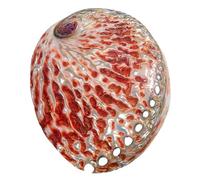 ROHCGHC Coquillage de conque, Coquille d'ormeau Rouge 11-13 cm for décoration de Mariage, fête sur Le thème la Plage, d'intérieur, Bricolage, Aquarium et collectionneurs Coquillages(12~13cm)