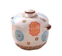 ROHCGHC La céramique, Cocotte, Marmite à Soupe, en Fonte avec Couvercle for Four Pyrex Couvercles(1000ml)