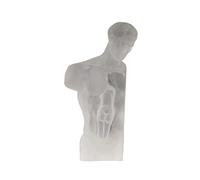 ROHCGHC Statue, Statues grecques en Cristal, Sculpture de Buste, for la Maison(Style2)