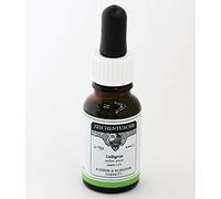 Rohrer & Klingner Encre de Chine jaune-vert 12 ml