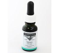 Rohrer & Klingner Encre de Chine vert de phthalo 12 ml