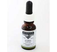 Rohrer & Klingner Encre de Chine vert d'or vieux 12 ml
