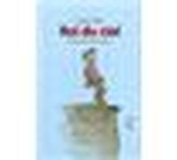 Roi du ciel - Chaïm Potok - Ecole Des Loisirs - broché - roman jeunesse