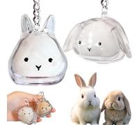 Roioiow Lot de 2 porte-clés en forme de lapin transparent en forme de lapin pour chat et chien, pendentif capsule de mémoire, cadeau commémoratif pour perte d'animal domestique et accessoire