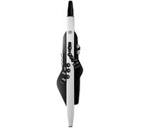Roland AE-20 Aerophone Contrôleur MIDI à vent White-Black