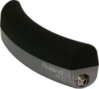 Roland BT-1