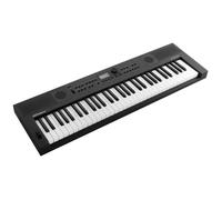 Clavier de création musicale GO:KEYS 5 Roland | Clavier à 61 touches | Générateur ZEN-Core avec plus de 1000 sons intégrés | Haut-parleurs stéréo | Entrée micro - Graphite