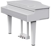 ROLAND - GP-6 WHITE