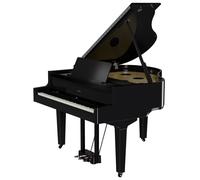 Roland GP-9 PE