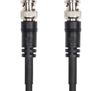 Roland RCC-100-SDI Composite-Video-Kabel 30 m BNC Schwarz (222570099)