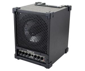 Roland Roland CM-30 Cube Monitor