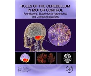 Roles of the Cerebellum in Motor Control: Foundations, Experimental Approaches and Clinical Applications